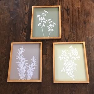 Set of Three Botanical Wall Art Prints